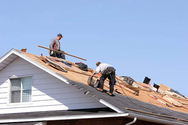 Best Skylight Installation and Repair  in Mount Pocono, PA